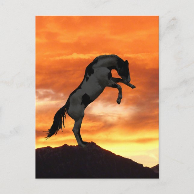 Cartões postais de cavalos de criação (Frente)