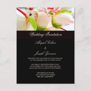 Cartões Postais de Convite de Casamento