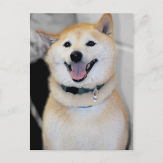 Cartões postais de criação de cães Shiba Inu, de c