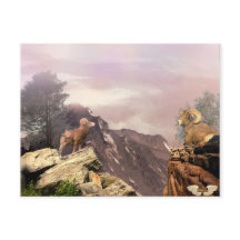 Cartões postais de dois caramujos no alto país