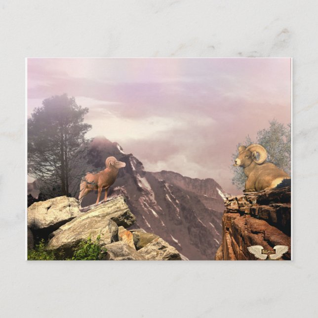 Cartões postais de dois caramujos no alto país (Frente)