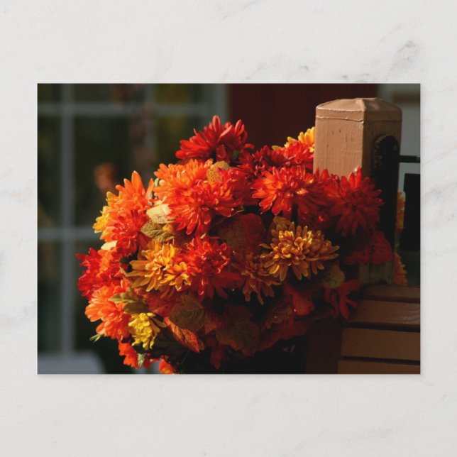 CARTÕES POSTAIS DE FLORES DE QUEDA (Frente)