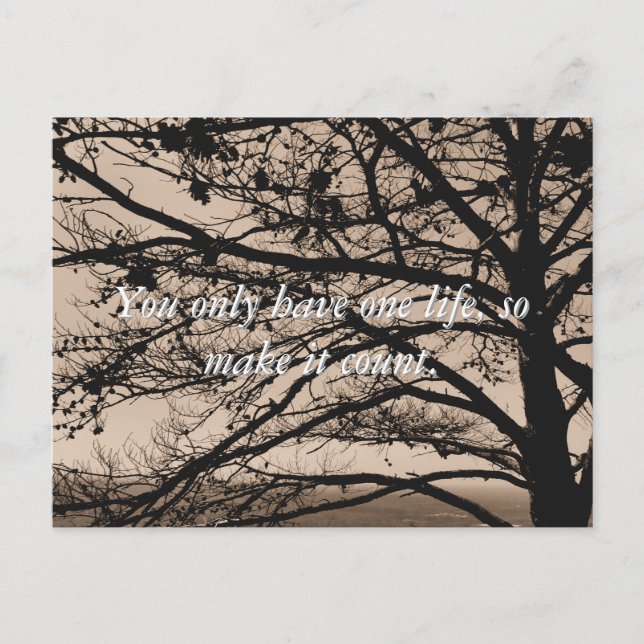 Cartões postais de fotografia de citação inspiraci (Frente)