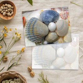 Cartões Postais de Fotografia de Conchas Azuis do 