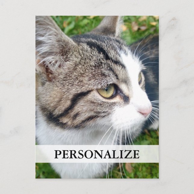 Cartões postais de fotos personalizados | Adicione (Frente)