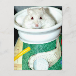 Cartões postais de Hamster com Proteção Branca