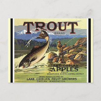 Cartões postais de Marca Vintage Troux Mosca Pesca
