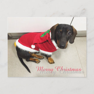 Cartões postais de Natal