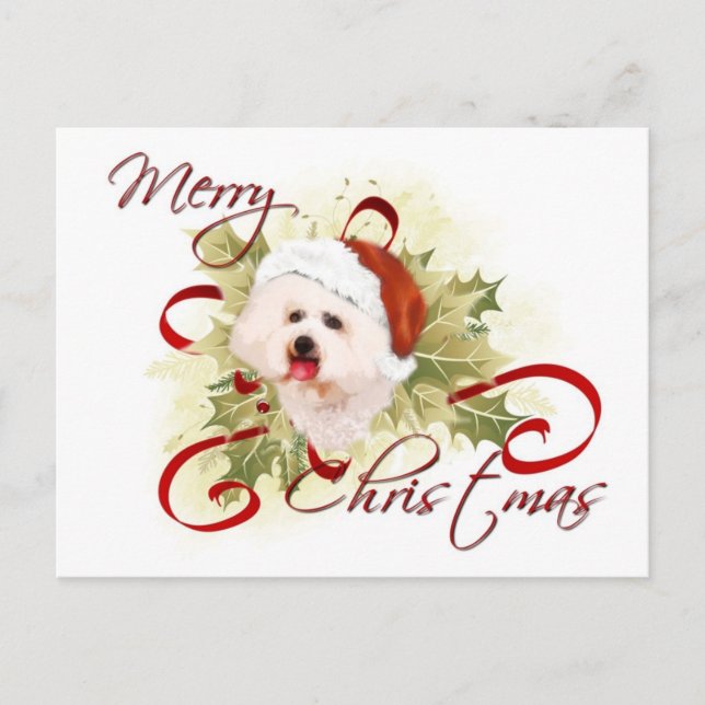 Cartões postais de Natal Bichon Frise (Frente)