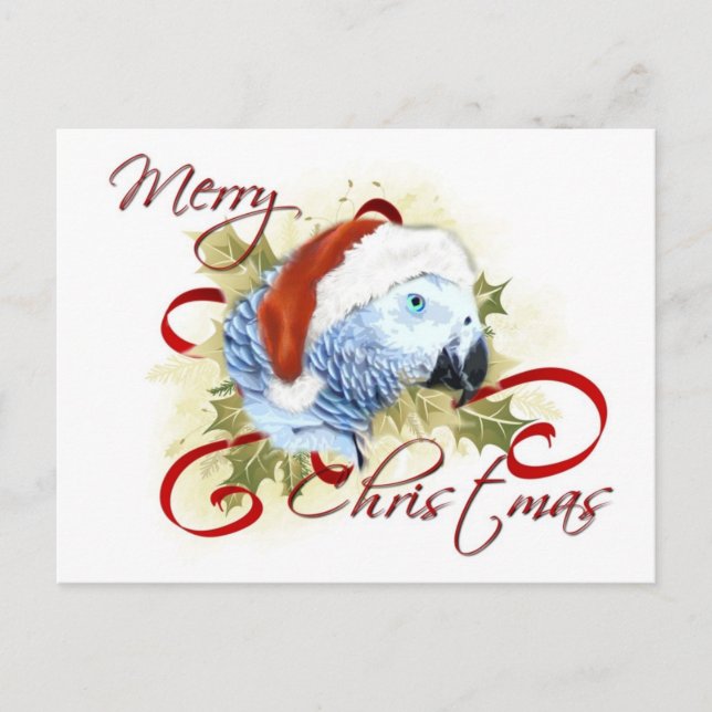 Cartões postais de Natal de Parrot, Cinza Africana (Frente)