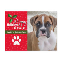 Cartões postais de Natal Pet