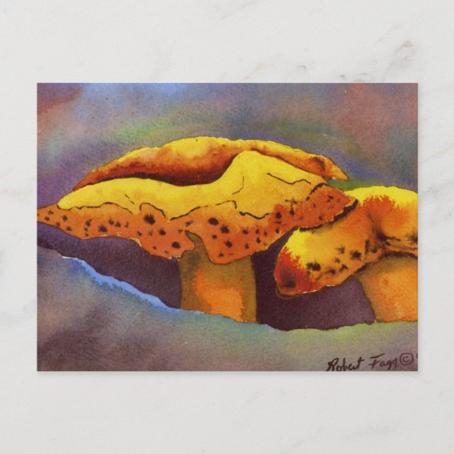 Cartões postais de Oportunidades Natureza (Frente)