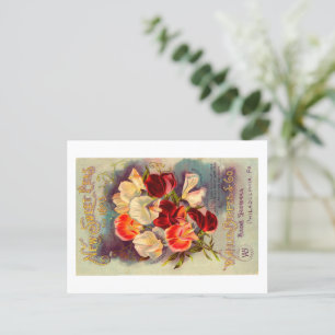 Cartões postais de pacotes de sementes. 