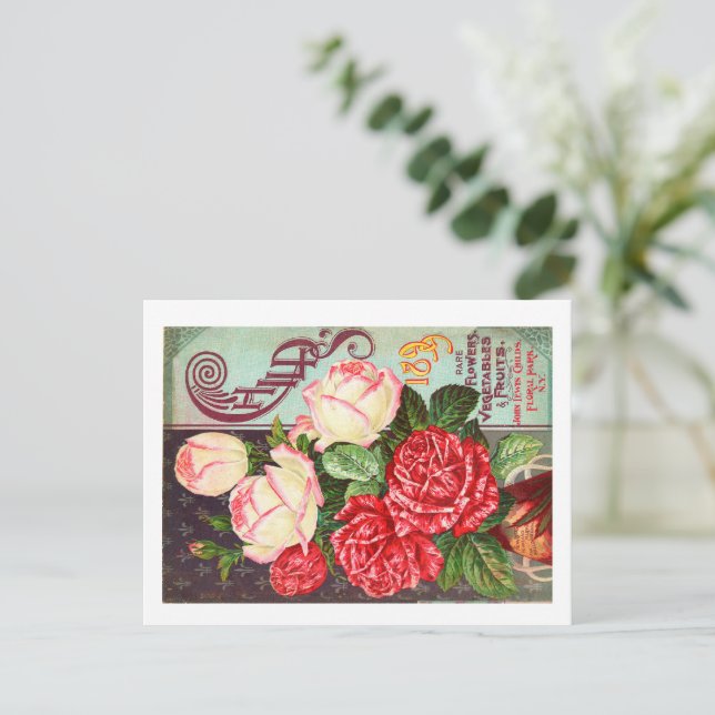 Cartões Postais de Pacotes de Sementes  (Em pé/Frente)