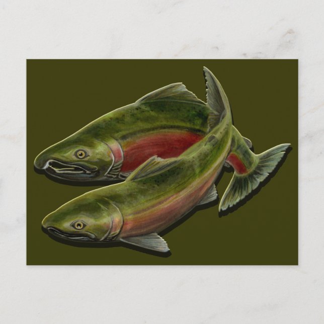 Cartões postais de pesca personalizados de animais (Frente)