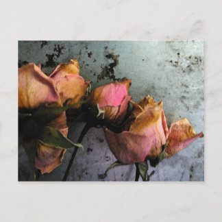 Cartões postais de Rosas de água para mortos