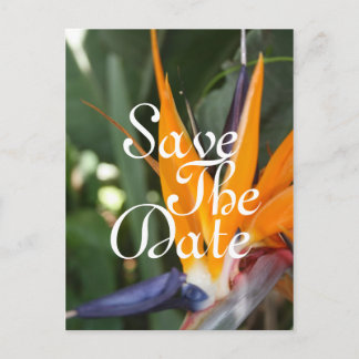 Cartões Postais de Save the Date Tropicais