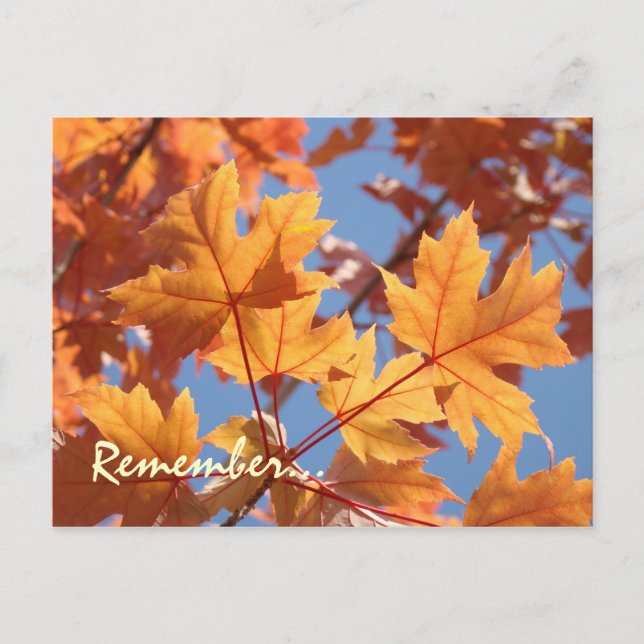 Cartões postais de serviço Lembretes do Tempo de S (Frente)