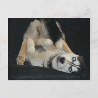 Cartões postais de sobreaquecimento