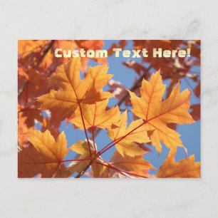Cartões postais de texto personalizados da naturez