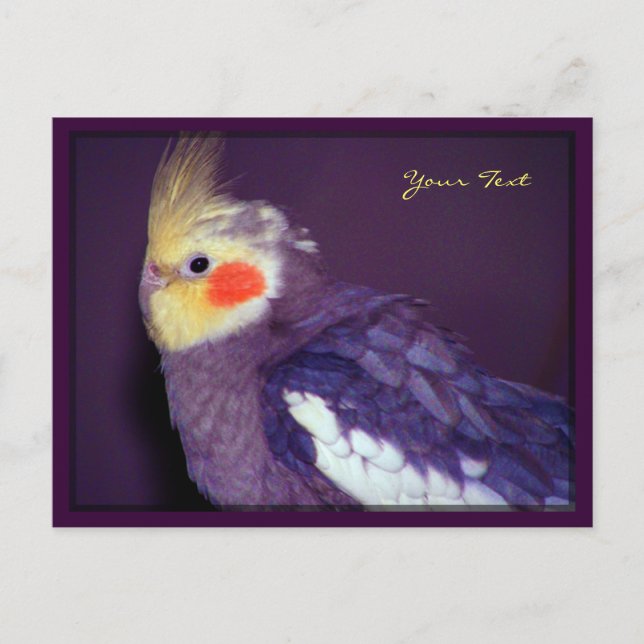 Cartões Postais de Tiels (Frente)