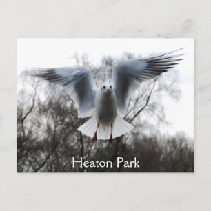 Cartões postais de voo