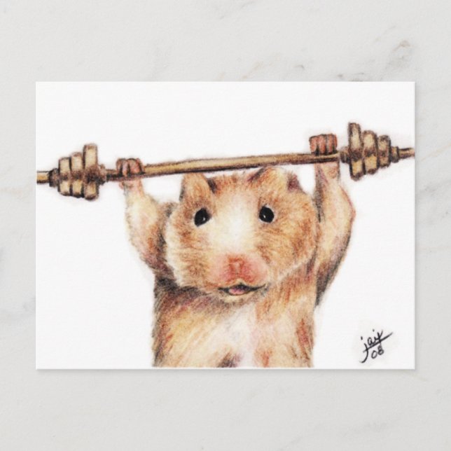 Cartões postais de Workout (Hamster) (Frente)