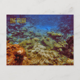 Cartões postais Dive Aruba