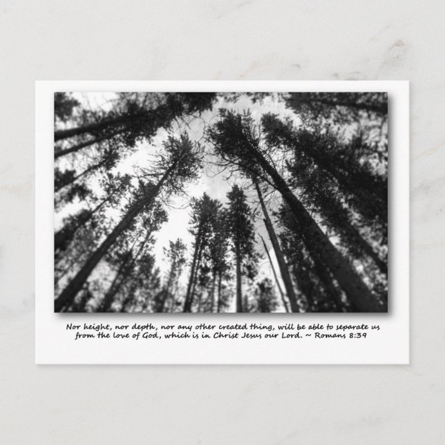 Cartões postais do amor de Deus (Frente)