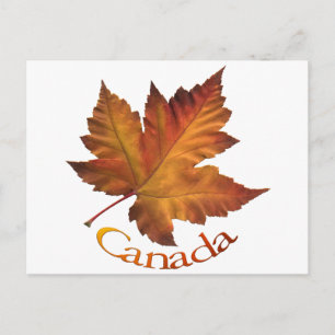 Cartões postais do Canadá personalizados Cartõe