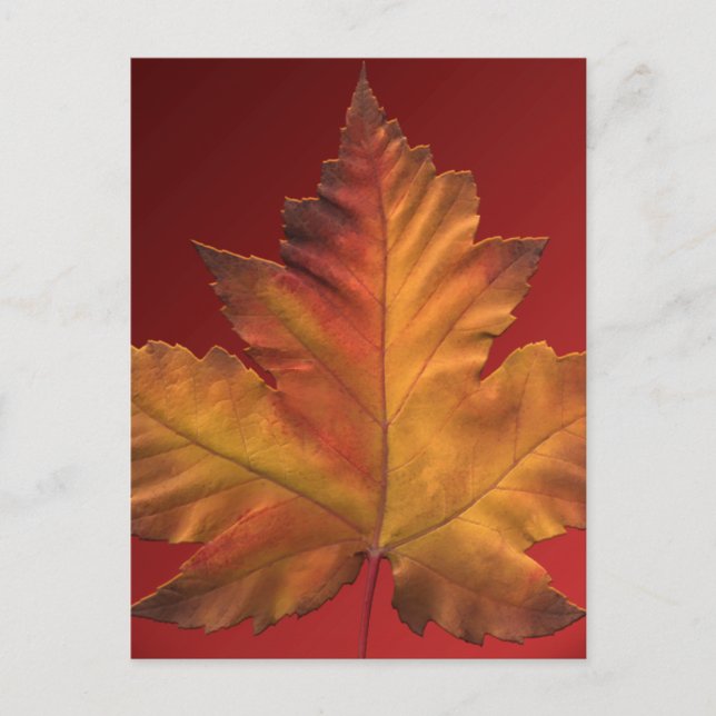 Cartões postais do Canadá personalizados Cartões p (Frente)