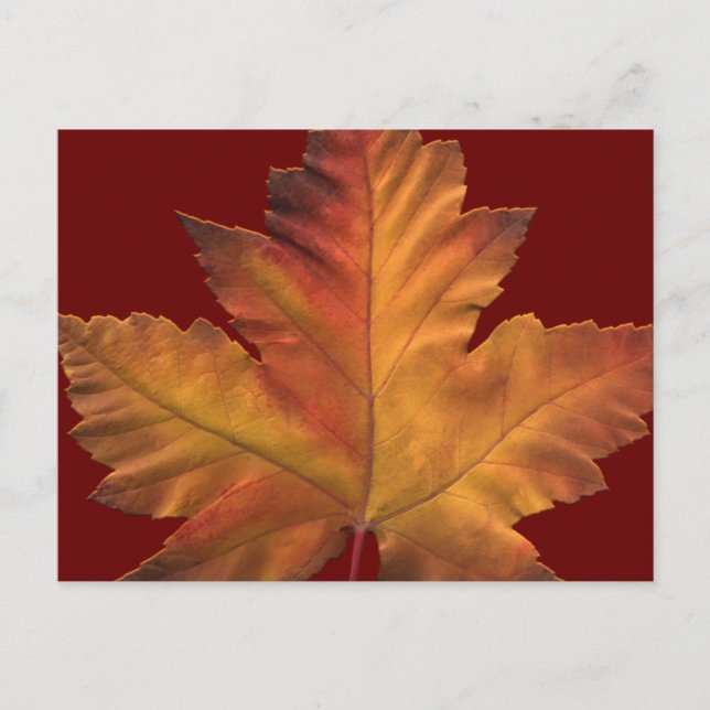 Cartões postais do Canadá personalizados Cartões p (Frente)