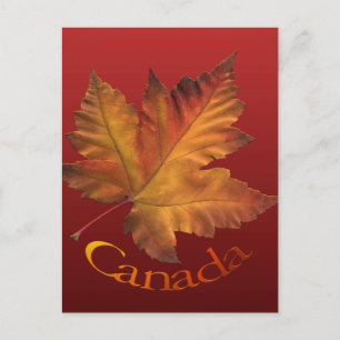 Cartões postais do Canadá personalizados Cartões p