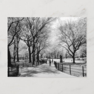 Cartões postais do Central Park