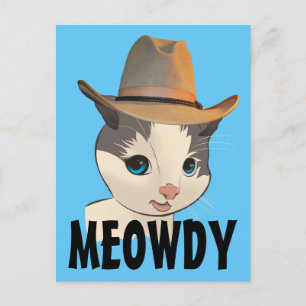 CARTÕES POSTAIS DO COWBOY KITTEN CAT