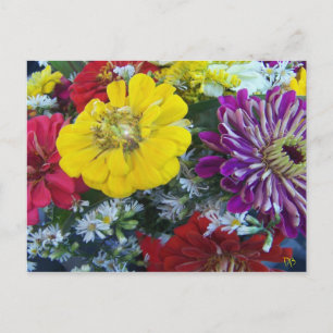 Cartões postais do mercado para agricultores