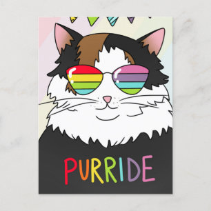 Cartões Postais do Orgulho Felino