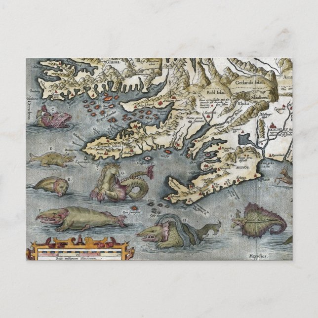 Cartões postais do Ortelius Map Sea Monstros (Frente)