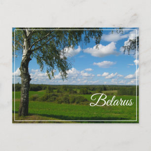 Cartões postais do Paisagem Natural Birch Belarus