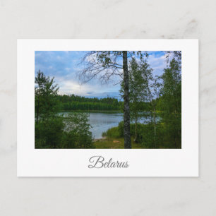 Cartões postais do Paisagem Natural Birch Belarus