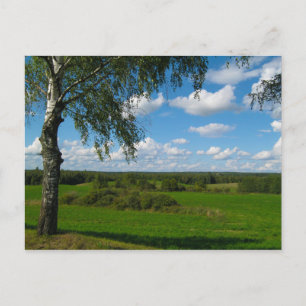 Cartões postais do Paisagem Natural Birch Belarus