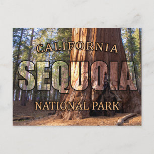 Cartões postais do Parque Nacional Sequoia