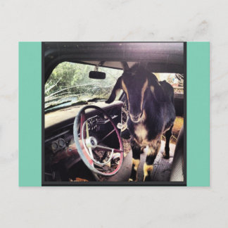 Cartões postais do Power Team