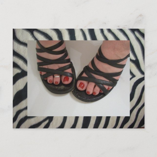 Cartões Postais do Zebra Pretty Toes (Frente)
