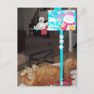 Cartões postais e Lennart