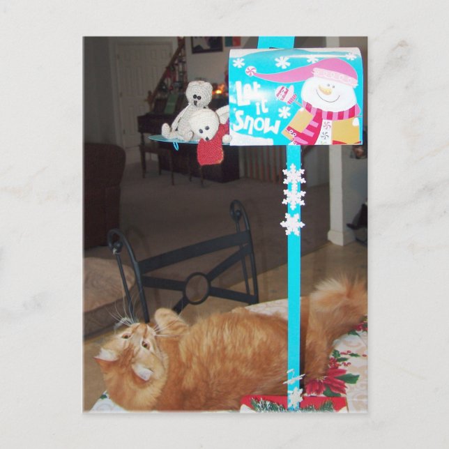 Cartões postais e Lennart (Frente)