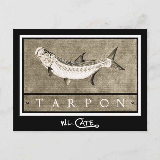 Cartões postais em preto e branco do Tarpon (Frente)