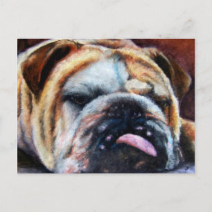 Cartões postais esgotados (Bulldog)