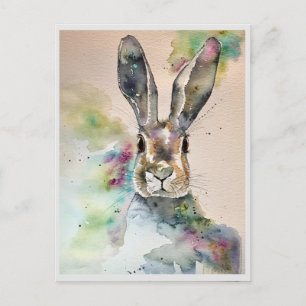 Cartões postais - Explosão de cor em Primavera