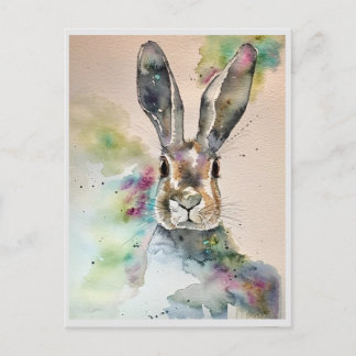 Cartões postais - Explosão de cor em Primavera